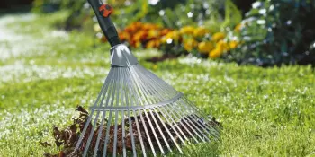 Акция "Чистый четверг"